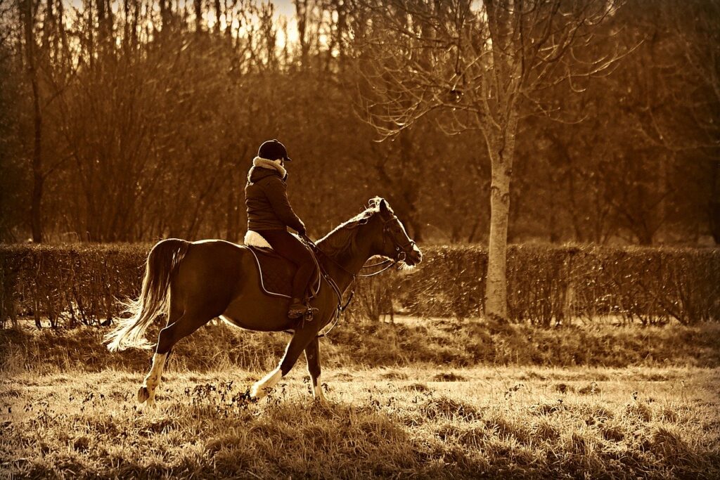 Equitation